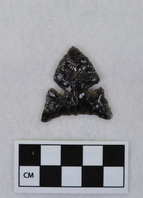 Ce.4210