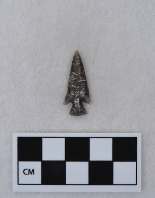 Ce.4215