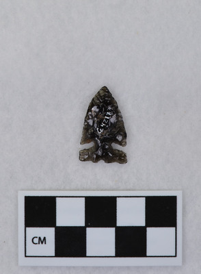 Ce.4217