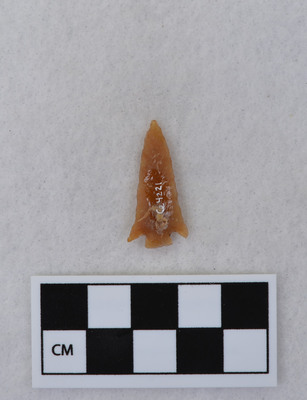 Ce.4221