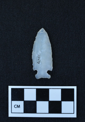 Ce.4231