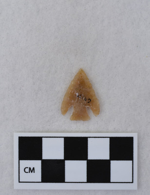 Ce.4239