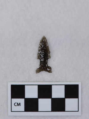 Ce.4244