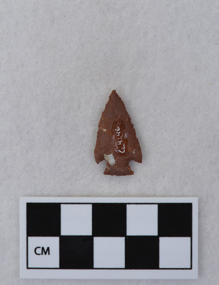 Ce.4246