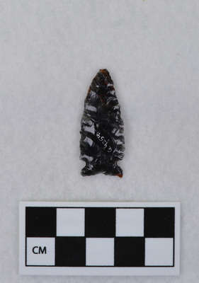 Ce.4254