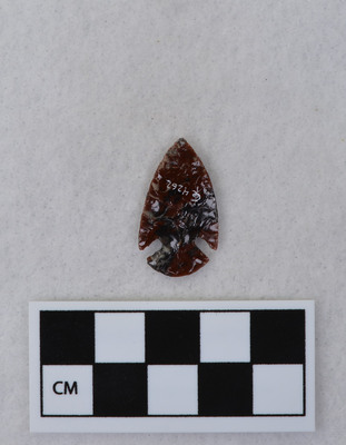 Ce.4262