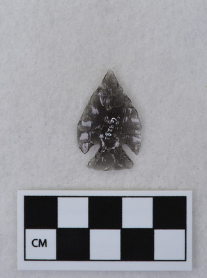 Ce.4282
