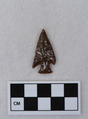 Ce.4295