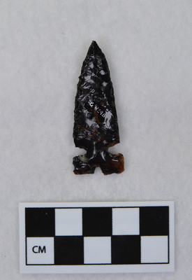 Ce.4298