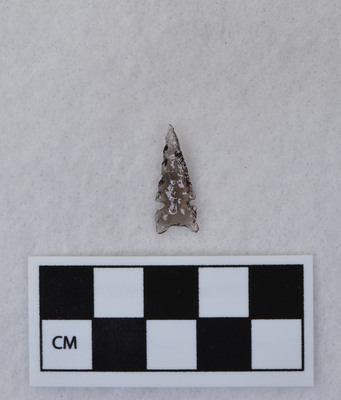 Ce.4299