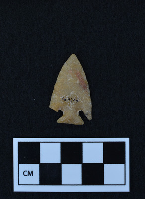 Ce.4304