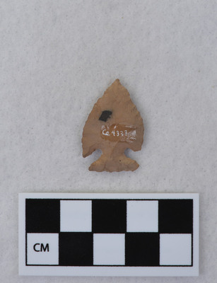 Ce.4337