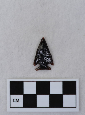 Ce.4338