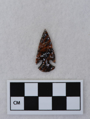 Ce.4348