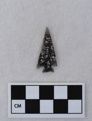 Ce.4377