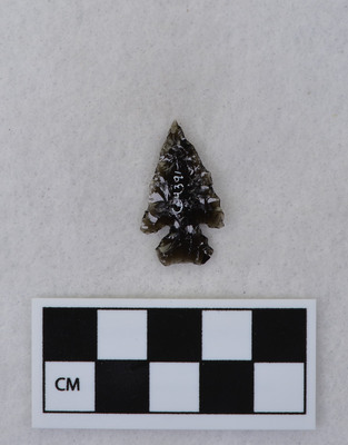 Ce.4391