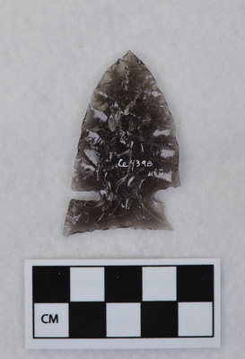 Ce.4398