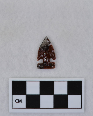 Ce.4421