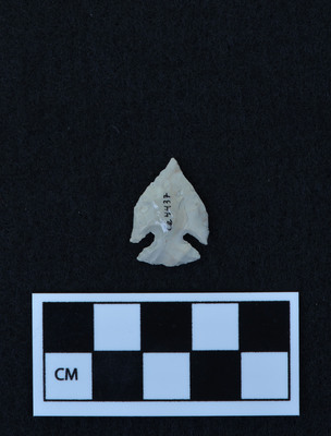 Ce.4437
