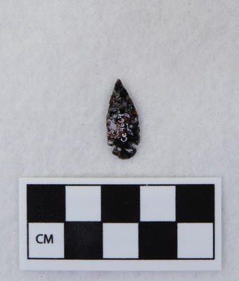 Ce.4664