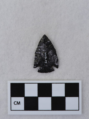 Ce.4699
