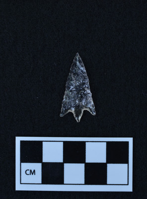 Ce.4739