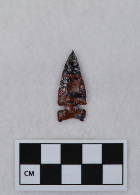 Ce.669