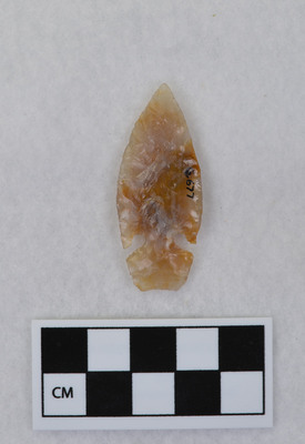 Ce.677