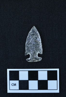 Ce.679