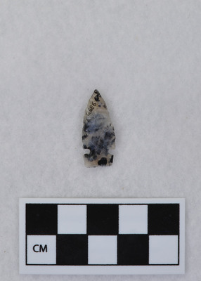 Ce.686
