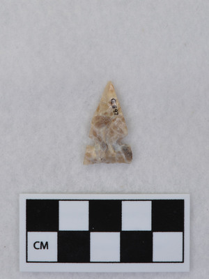 Ce.697