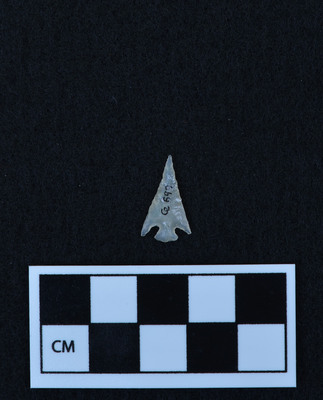 Ce.699