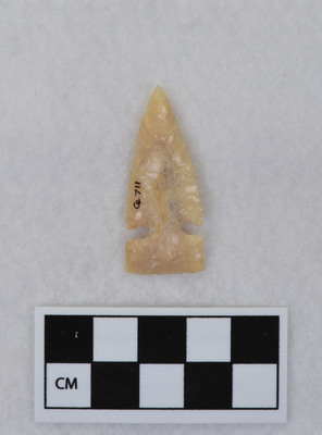 Ce.711