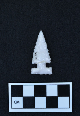 Ce.719