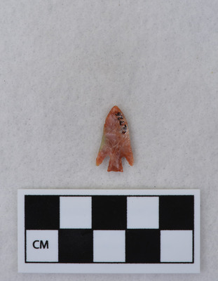 Ce.726