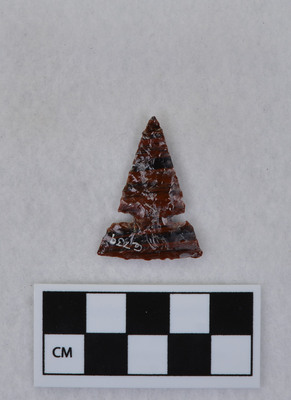 Ce.739
