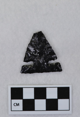 Ce.7629