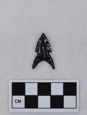 Ce.7638