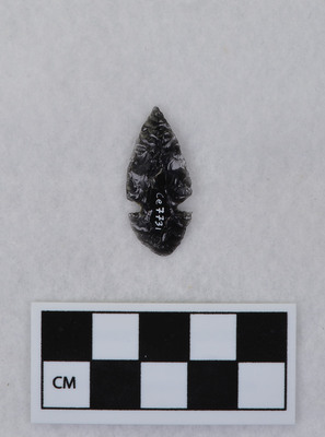 Ce.7731
