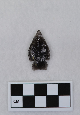 Ce.7741