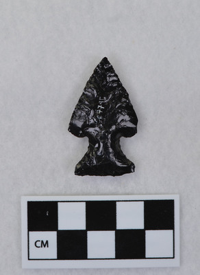 Ce.7791