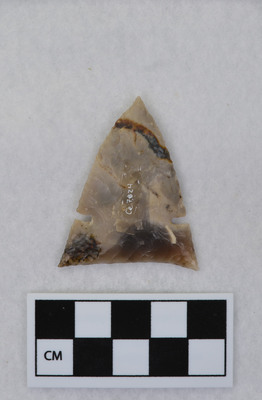 Ce.7824