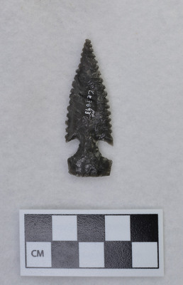 Ce.7843