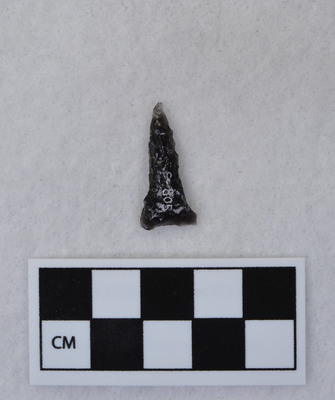 Ce.805