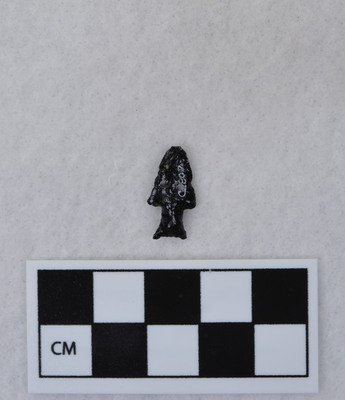 Ce.807