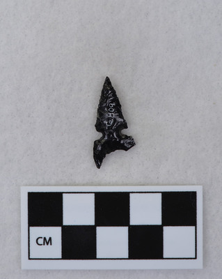 Ce.809