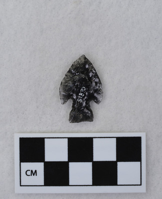Ce.815