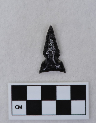 Ce.817