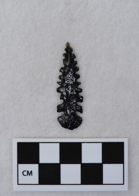 Ce.818