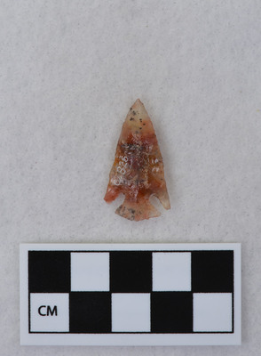 Ce.826